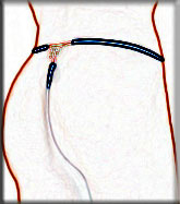 Collections 2010